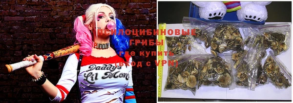 стаф Белоозёрский