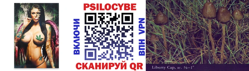 Псилоцибиновые грибы Cubensis  Окуловка 